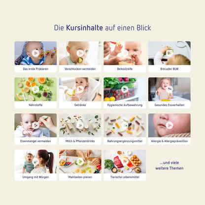 Ab dem ersten Bissen inkl. BeikostGuide - Der Beikost Onlinekurs für eine gesunde Beikost + über 80 passende Rezepte