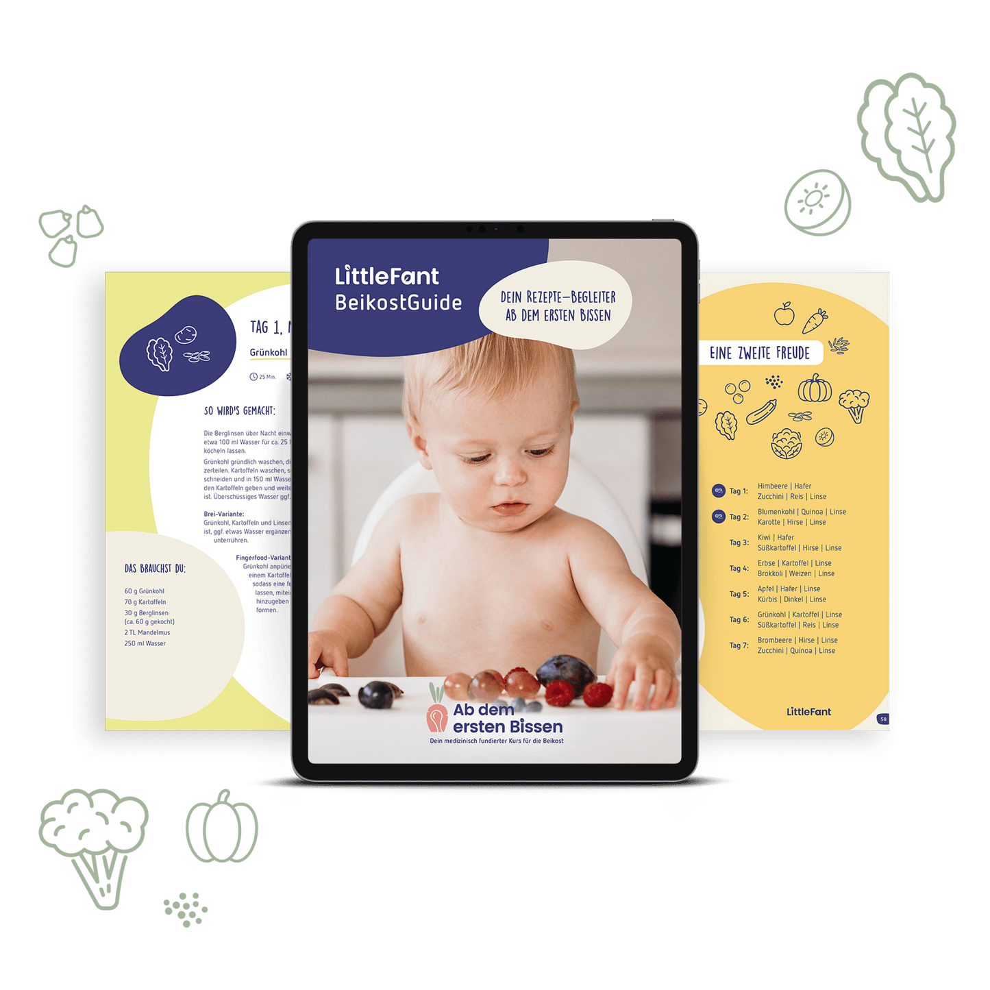 Ab dem ersten Bissen inkl. BeikostGuide - Der Beikost Onlinekurs für eine gesunde Beikost + über 80 passende Rezepte